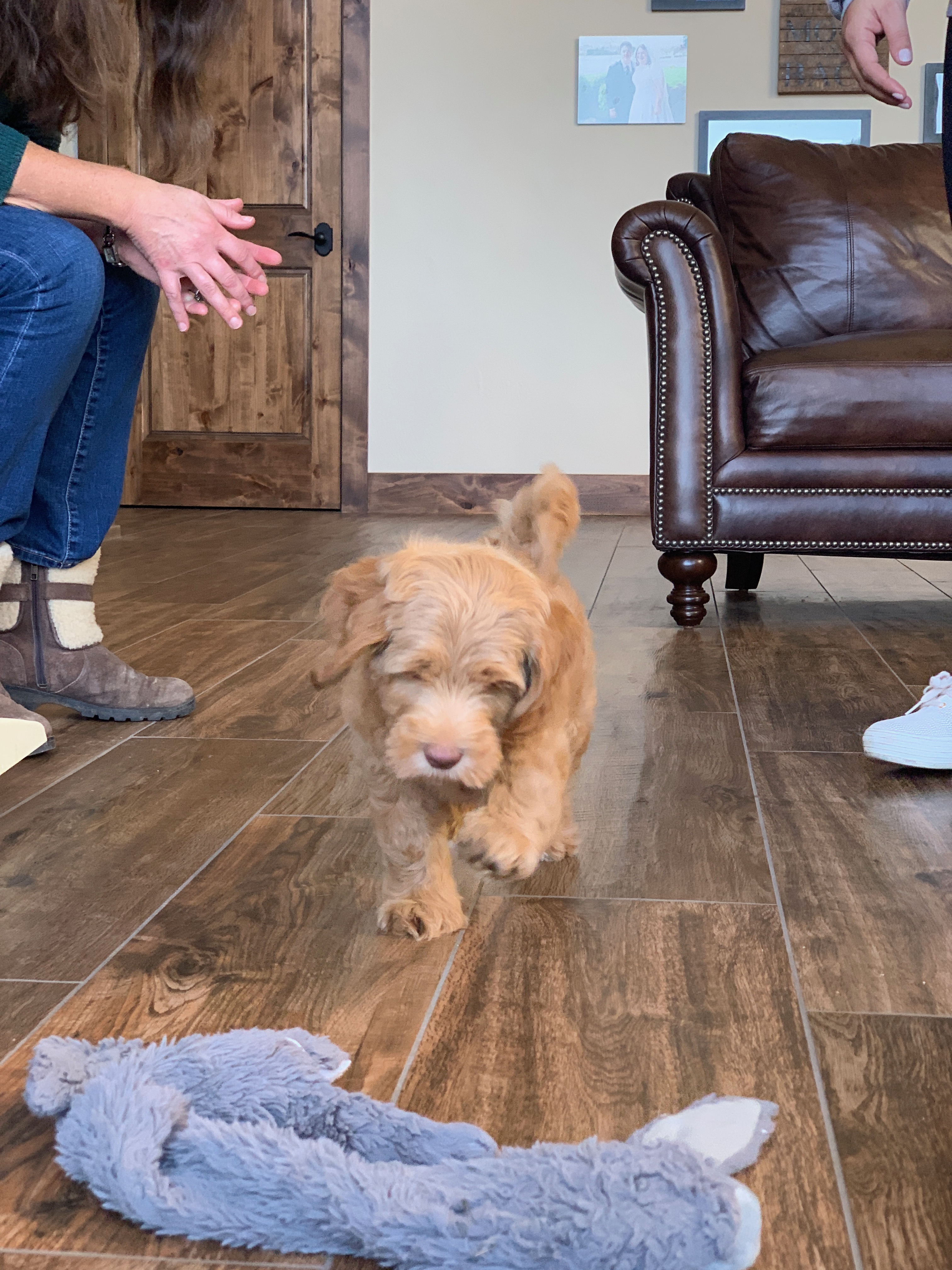 First day with Ollie!