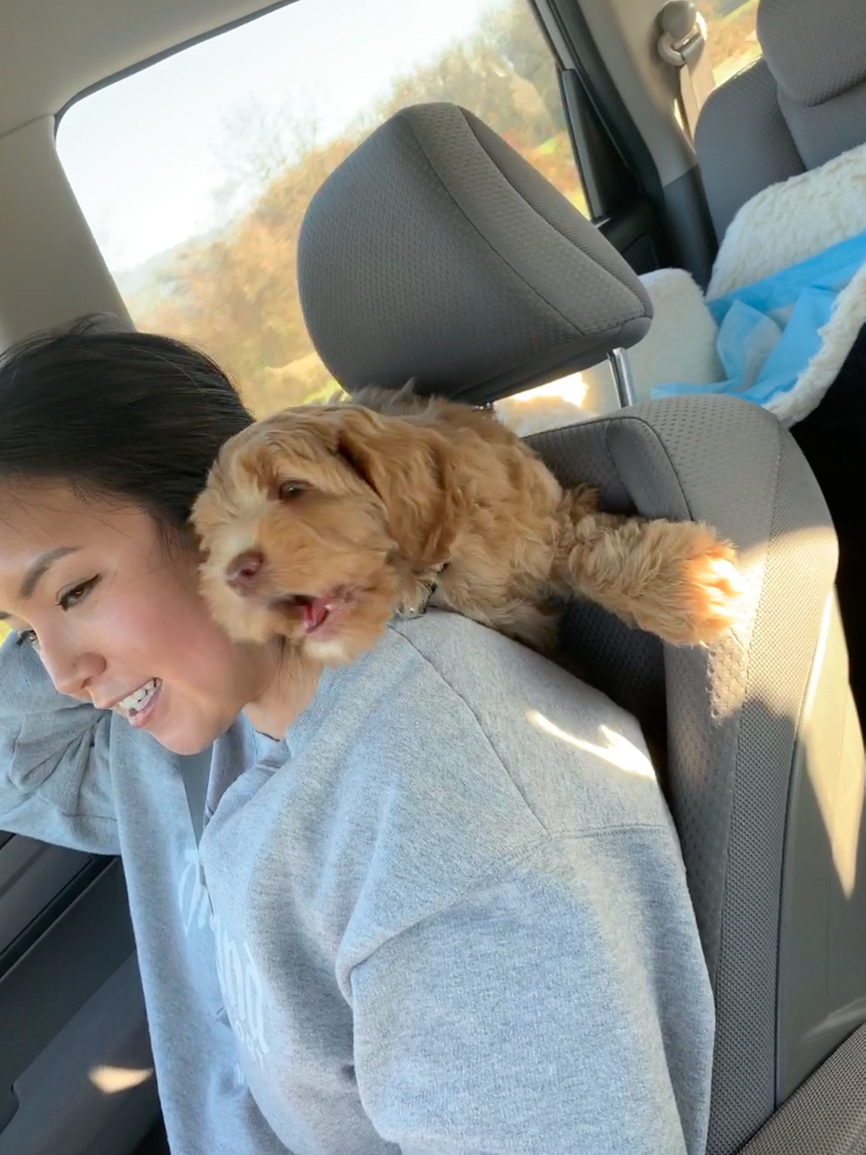 Car ride home with Ollie 2