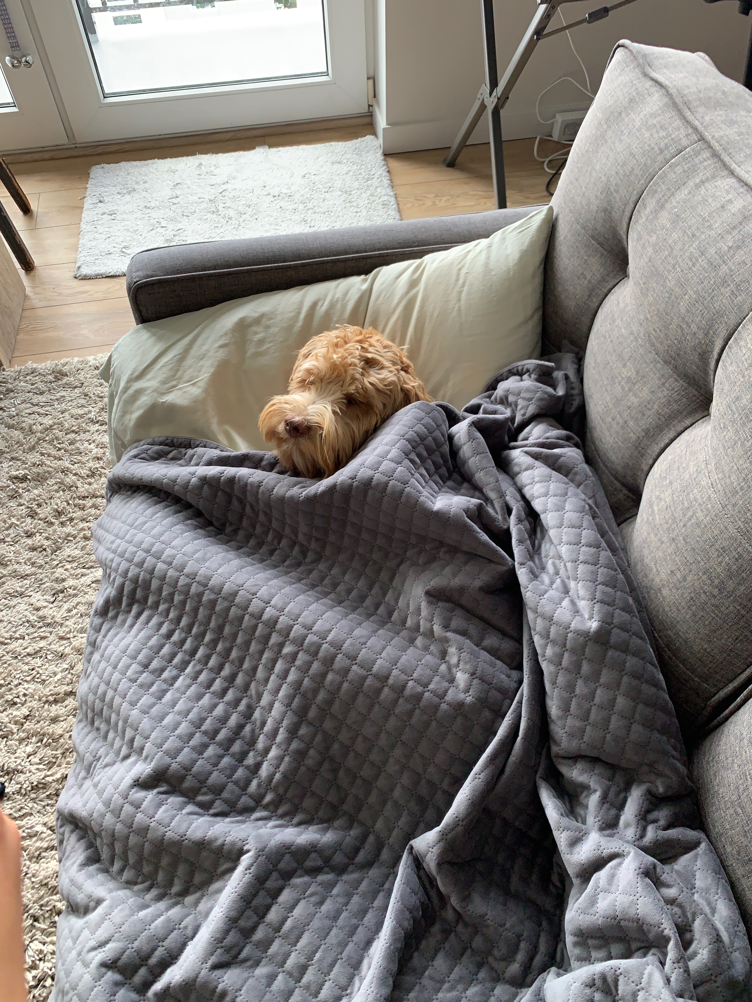 Ollie took over Dad's spot