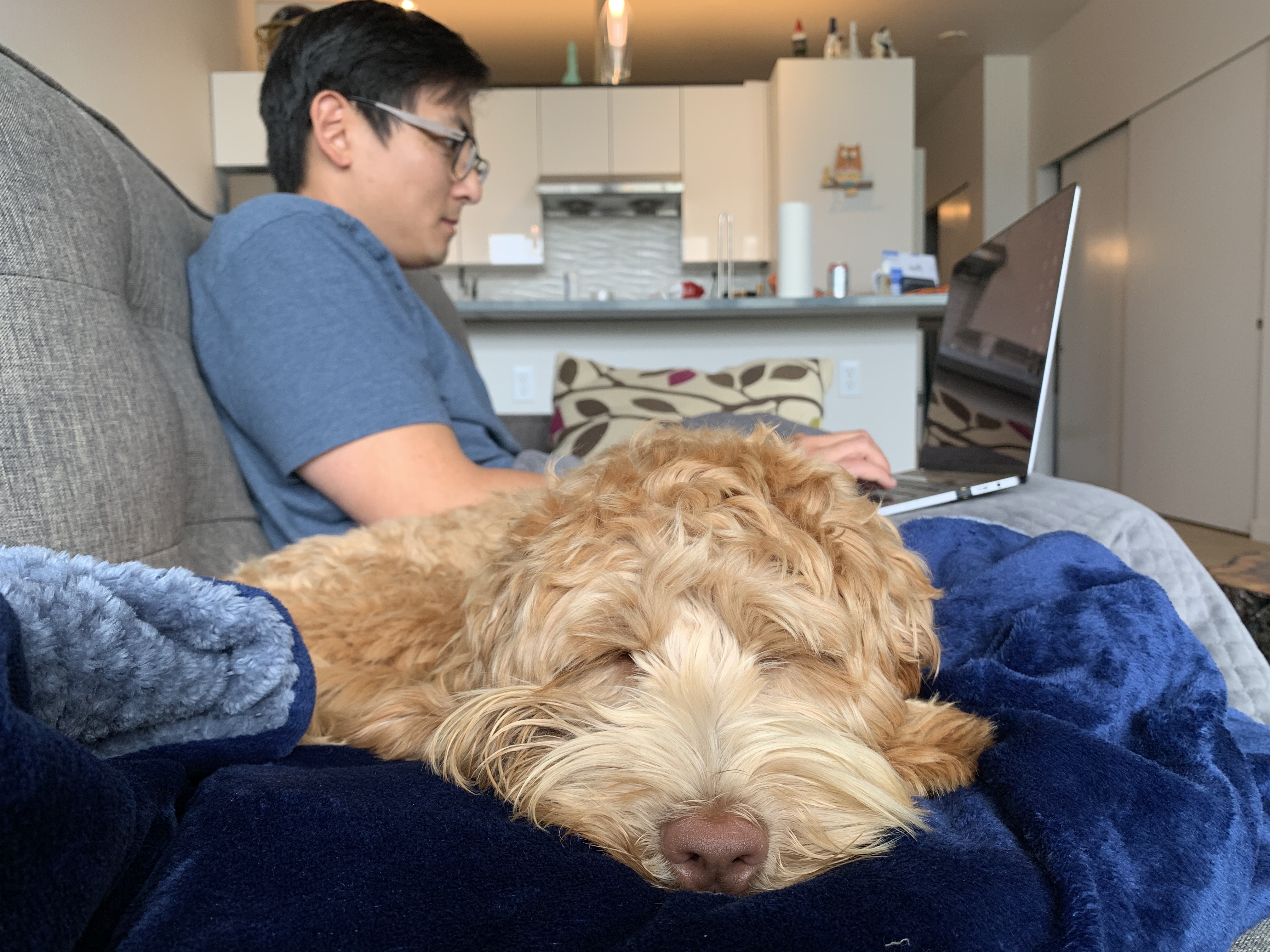 Ollie sleeping next to dad working